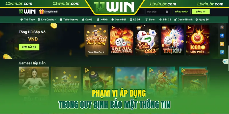Phạm vi áp dụng trong quy định bảo mật thông tin