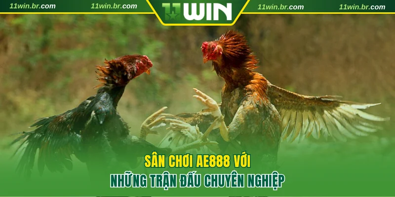 Sân chơi AE888 với những trận đấu chuyên nghiệp và thu hút