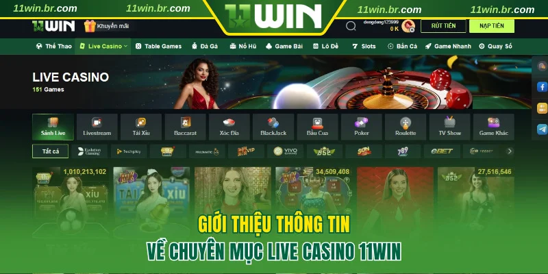 casino 11win 1 Sơ lược về chuyên mục casino 11WIN